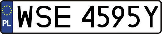 WSE4595Y