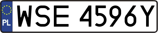WSE4596Y