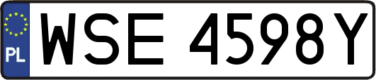WSE4598Y
