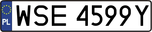 WSE4599Y