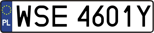 WSE4601Y