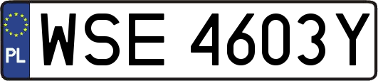 WSE4603Y