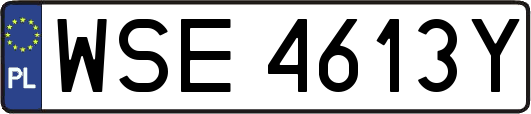 WSE4613Y