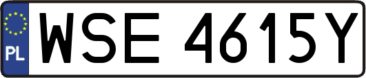 WSE4615Y