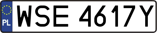 WSE4617Y
