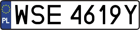 WSE4619Y