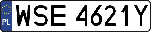 WSE4621Y