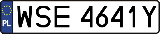 WSE4641Y