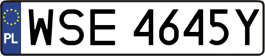 WSE4645Y