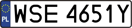 WSE4651Y