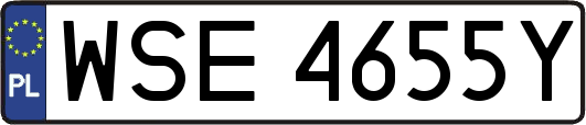 WSE4655Y