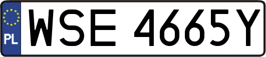 WSE4665Y