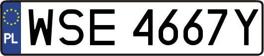 WSE4667Y