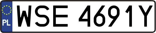 WSE4691Y