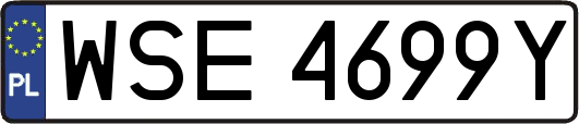 WSE4699Y