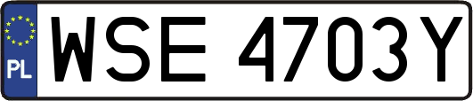 WSE4703Y