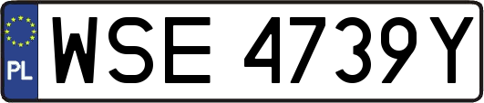 WSE4739Y