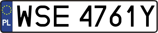 WSE4761Y