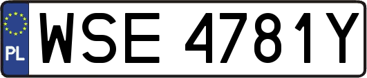 WSE4781Y