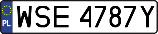 WSE4787Y