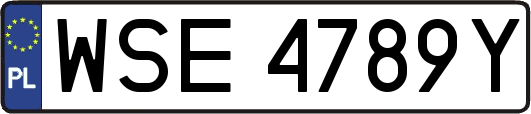 WSE4789Y