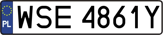 WSE4861Y
