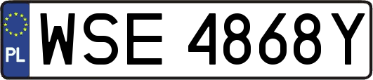 WSE4868Y