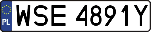 WSE4891Y