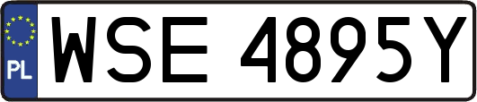 WSE4895Y