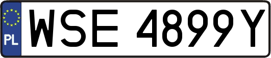 WSE4899Y