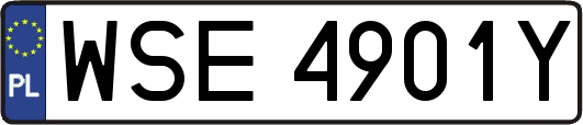WSE4901Y