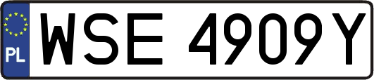 WSE4909Y