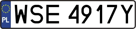 WSE4917Y