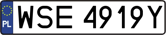 WSE4919Y