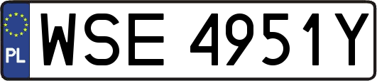 WSE4951Y