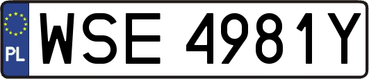 WSE4981Y
