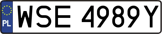WSE4989Y