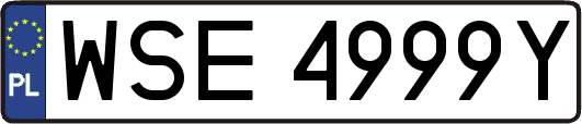 WSE4999Y