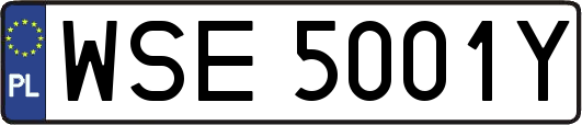 WSE5001Y