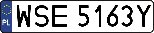 WSE5163Y