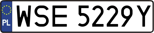 WSE5229Y