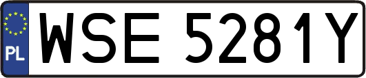 WSE5281Y