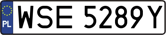 WSE5289Y
