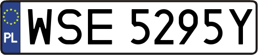 WSE5295Y