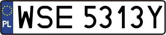 WSE5313Y