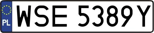 WSE5389Y