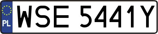 WSE5441Y
