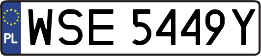 WSE5449Y