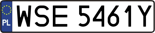 WSE5461Y