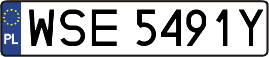 WSE5491Y
